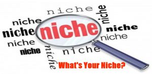 magnifying glass showing the word niche