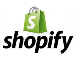 What Is A Dropshipping Buisness Shopify Bag