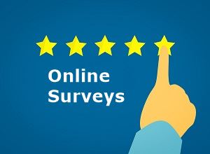 Online Surveys