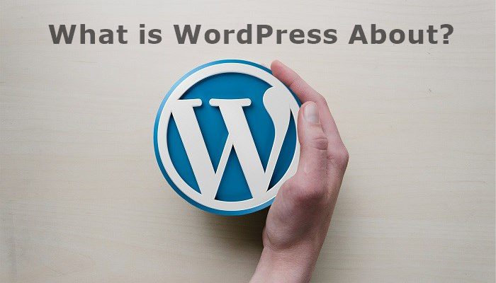 What Is WordPress About