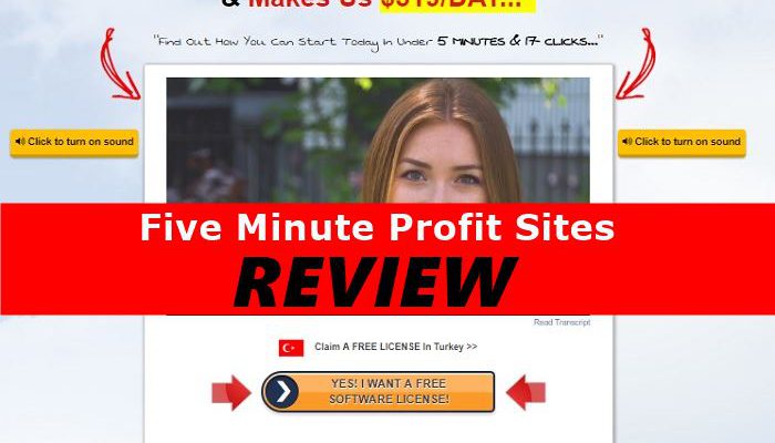 Screenshot of Five Minute Profit Sites Website