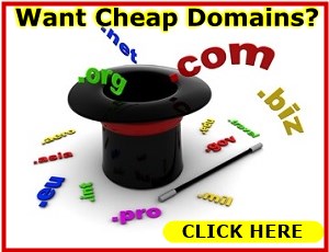 Want Cheap Domains Banner
