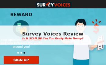 Survey Voices Review Screenshot