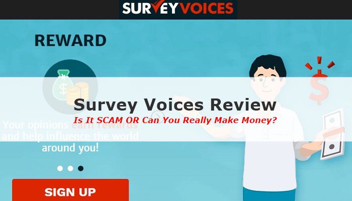 Survey Voices Review Screenshot