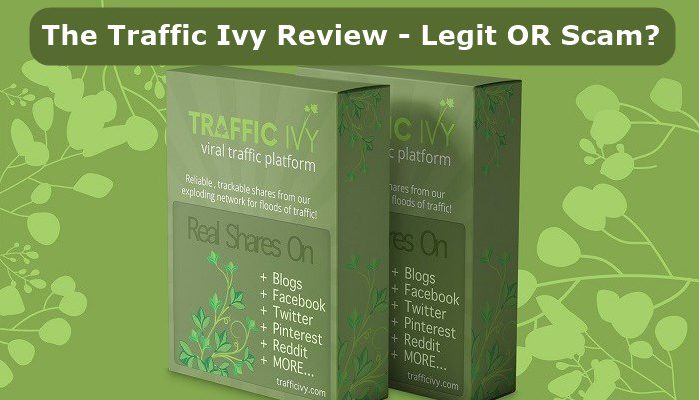 the-traffic-ivy-review